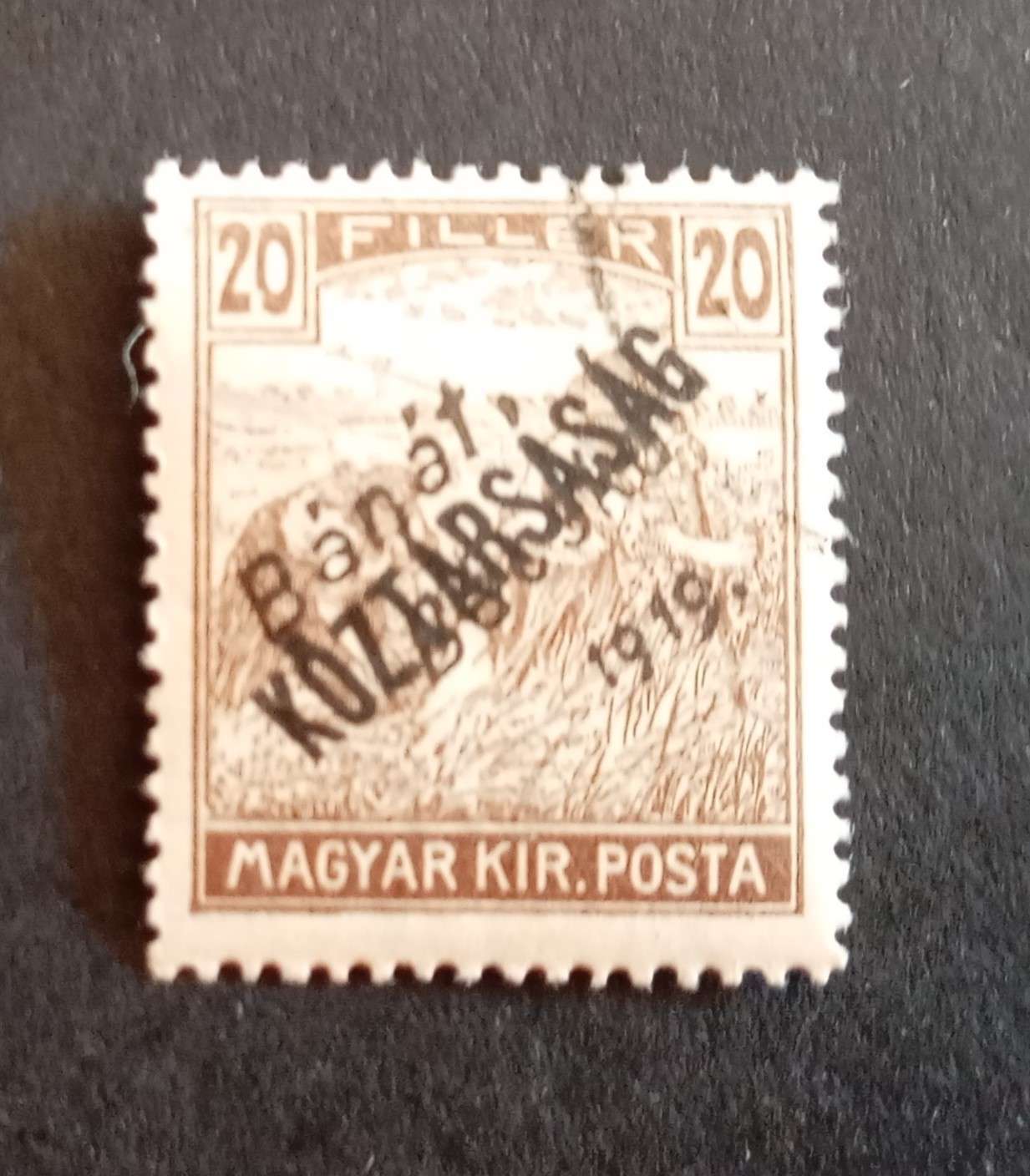 Magyarország 1919 Bánát-Bácska Arató/ Köztársaság 20 F pecsételt H