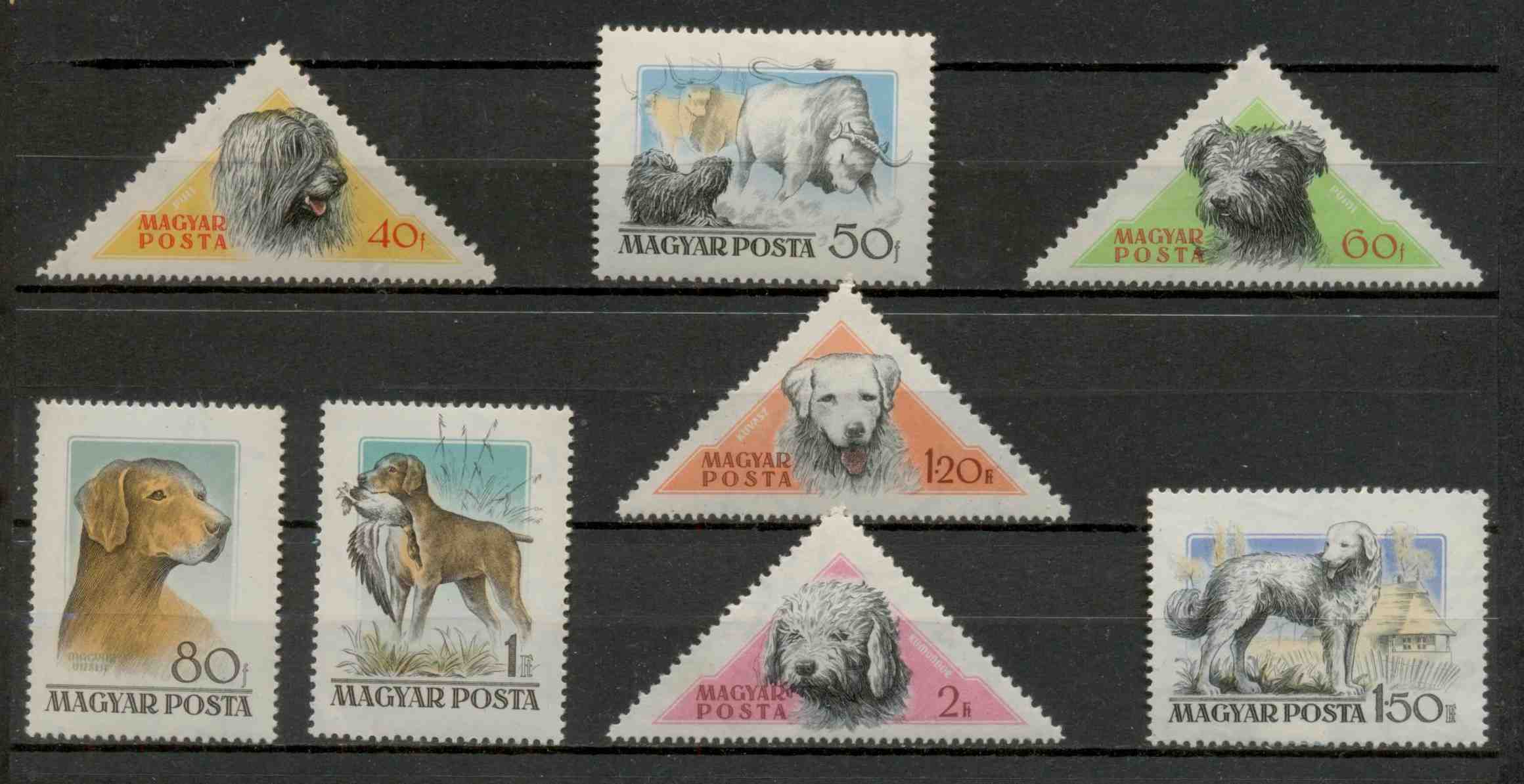 M241 - 1956. Magyarországi kutyafajták I. teljes bélyegsorozat (8 db)