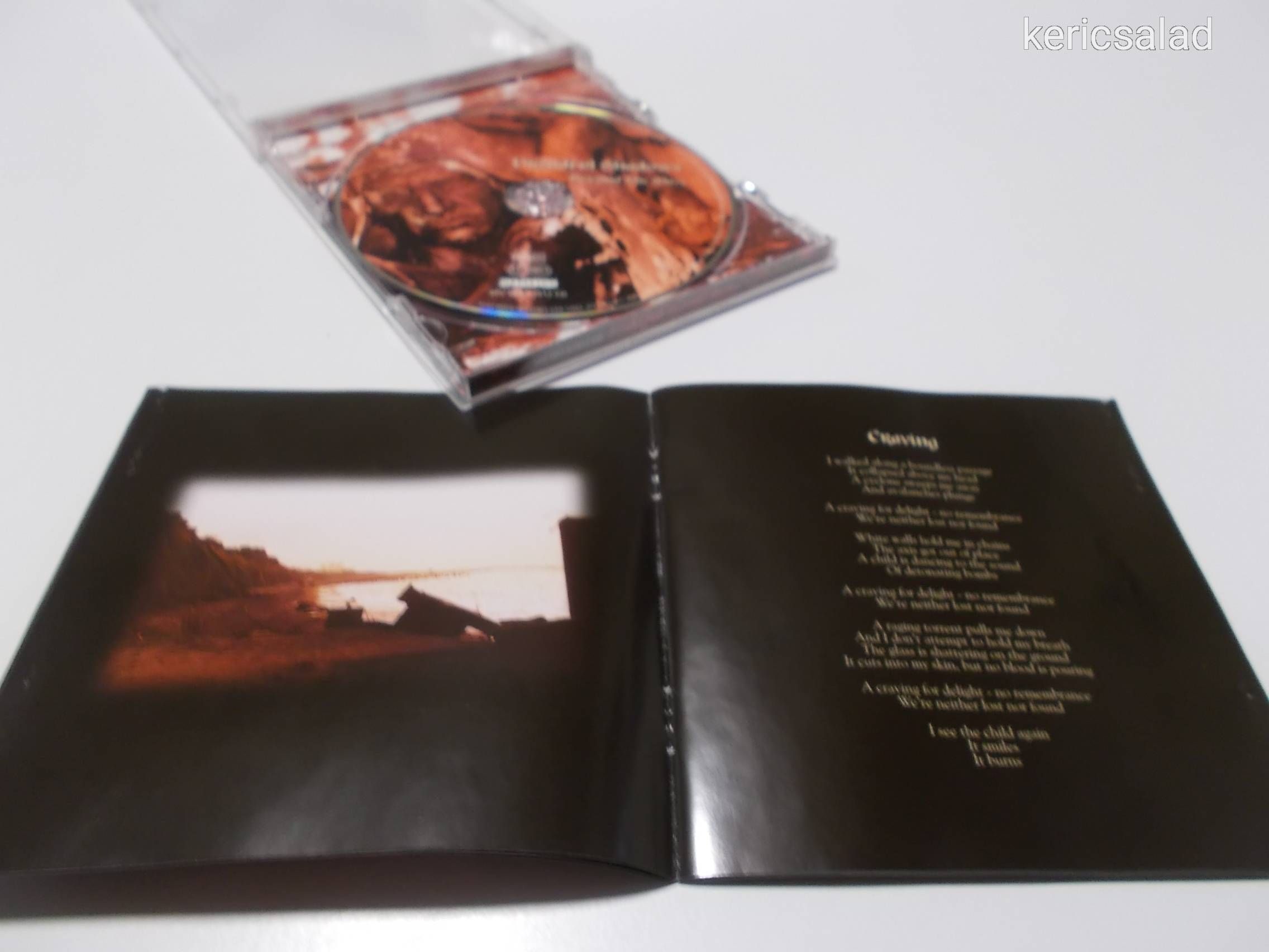 Dreadful Shadows: Beyond the maze cd 1998