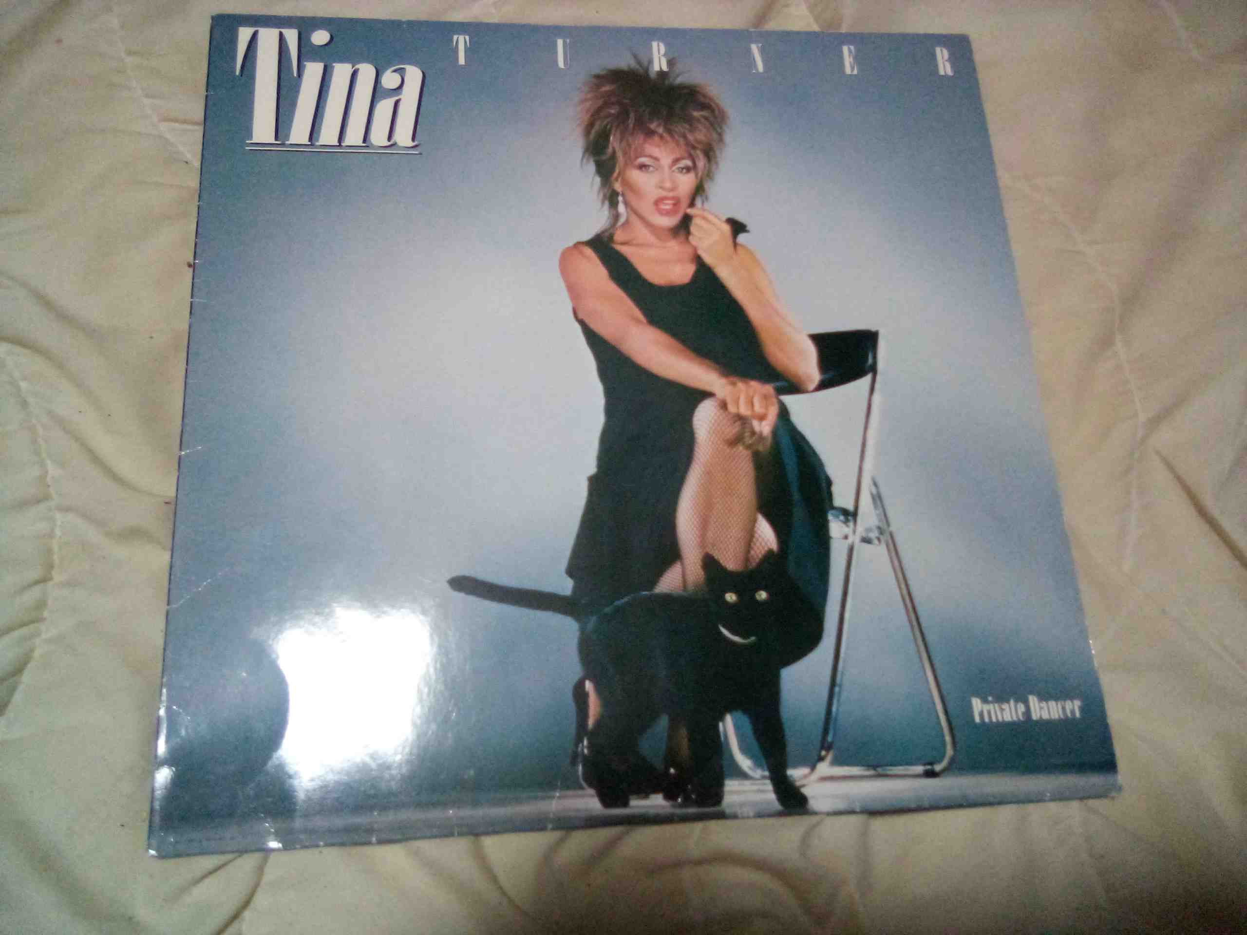 Tina Turner: Private Dancer