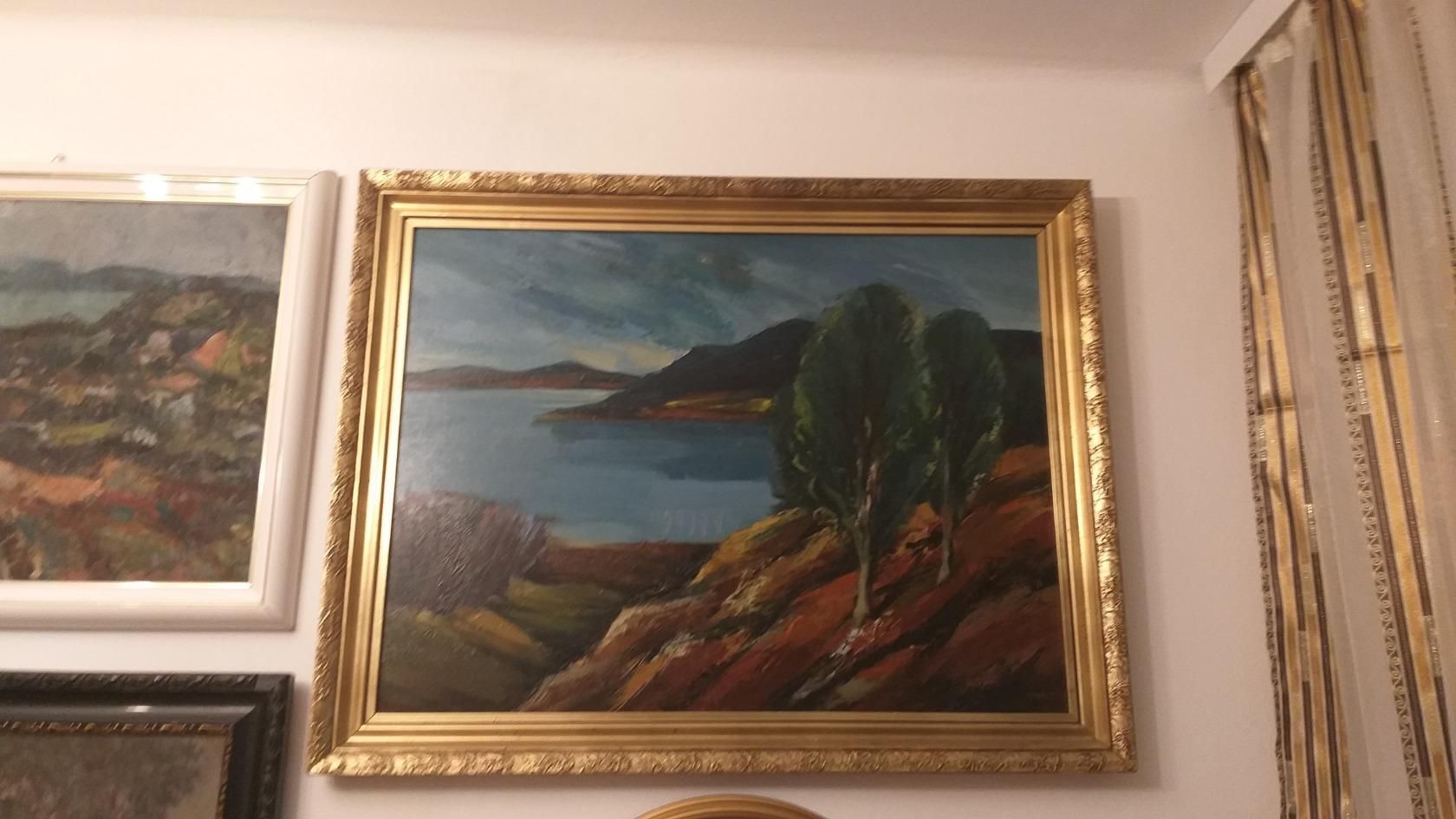Tímár József  Dunakanyar