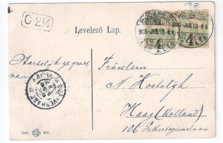 Budapest - Margitsziget / Parkrészlet, 1906