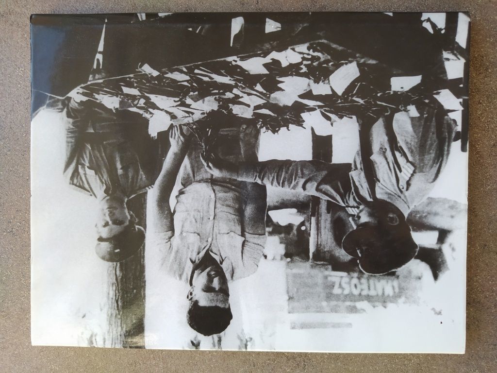 Rögös utakon (id84606)