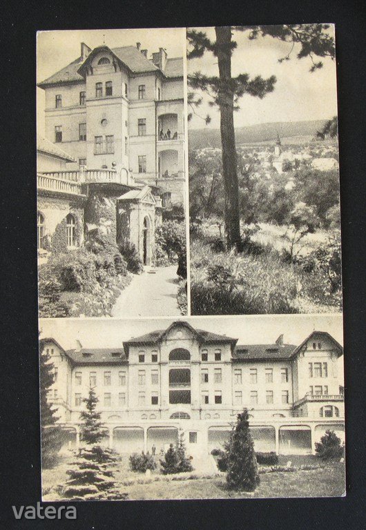 Budakeszi, részletek