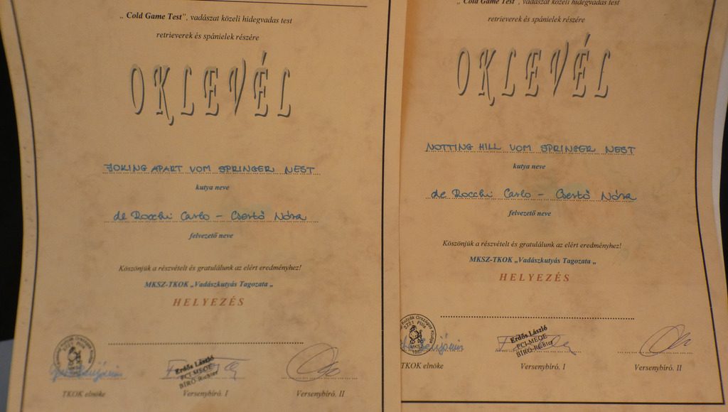 Vadászkutya verseny oklevél 3 db - 2010