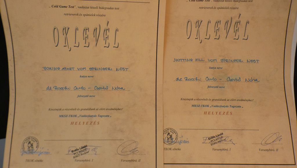 Vadászkutya verseny oklevél 3 db - 2010