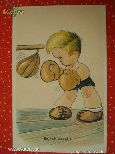 BAJNOK LESZEK. (BOX) -RÉGI!!!