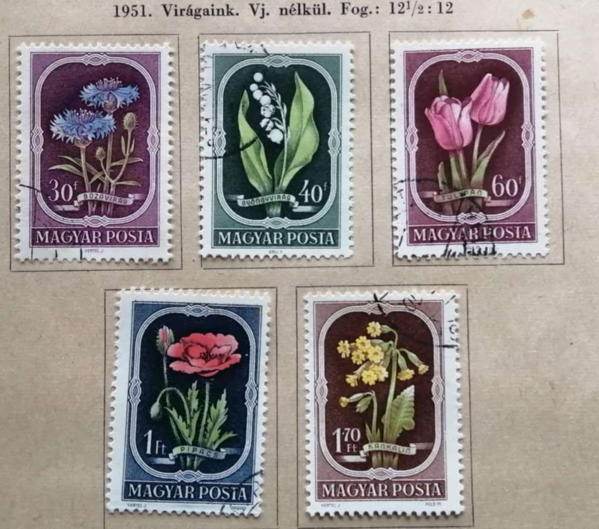 Magyarország, 1951, virágok