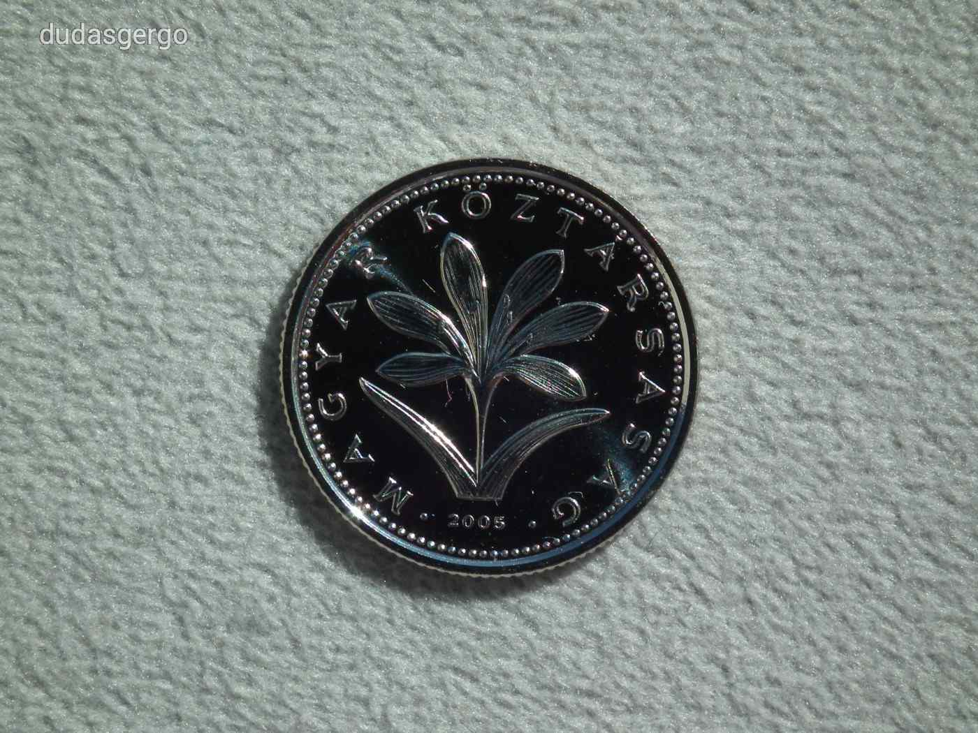 2005 BU 2 Forint