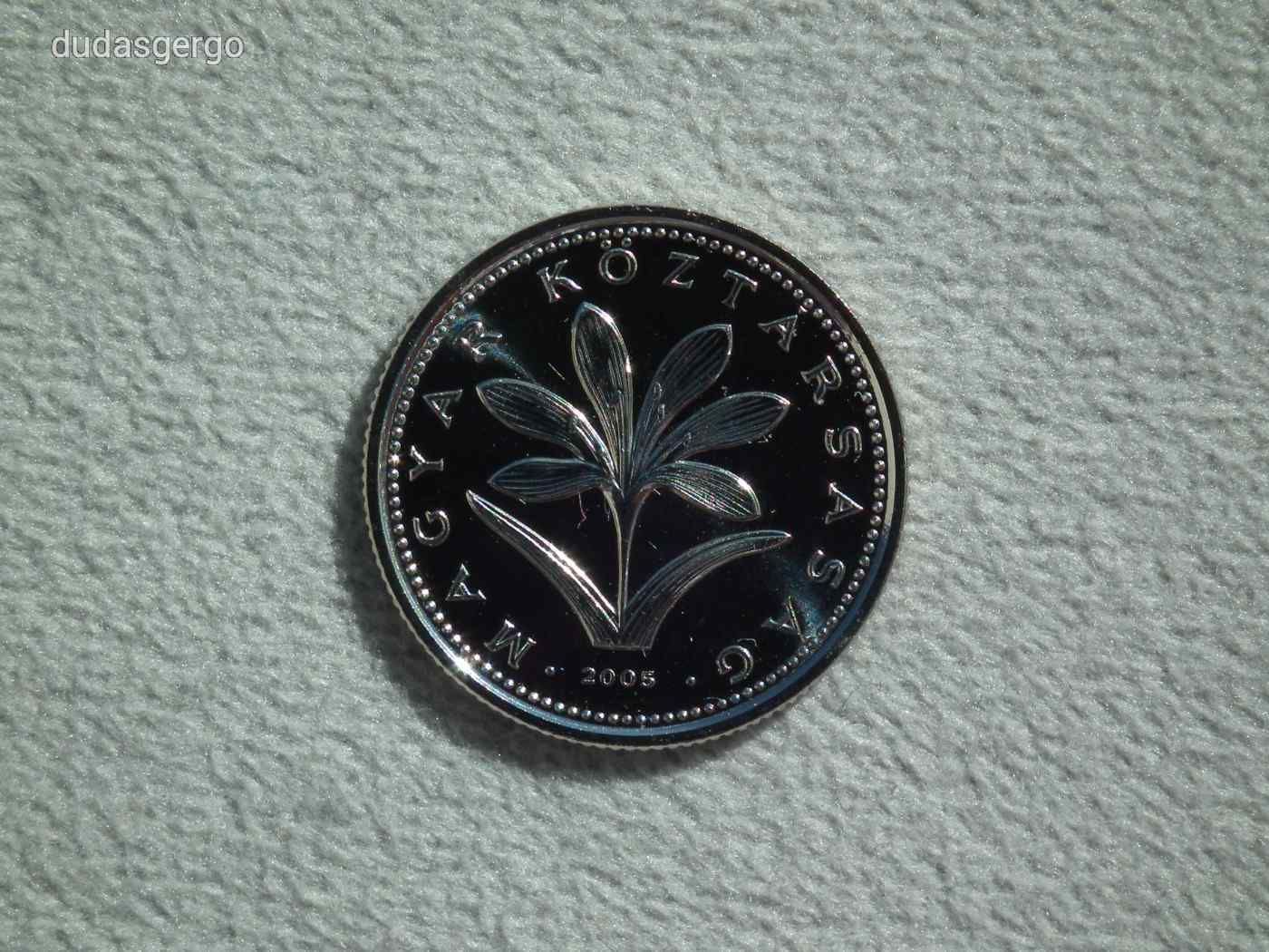 2005 BU 2 Forint