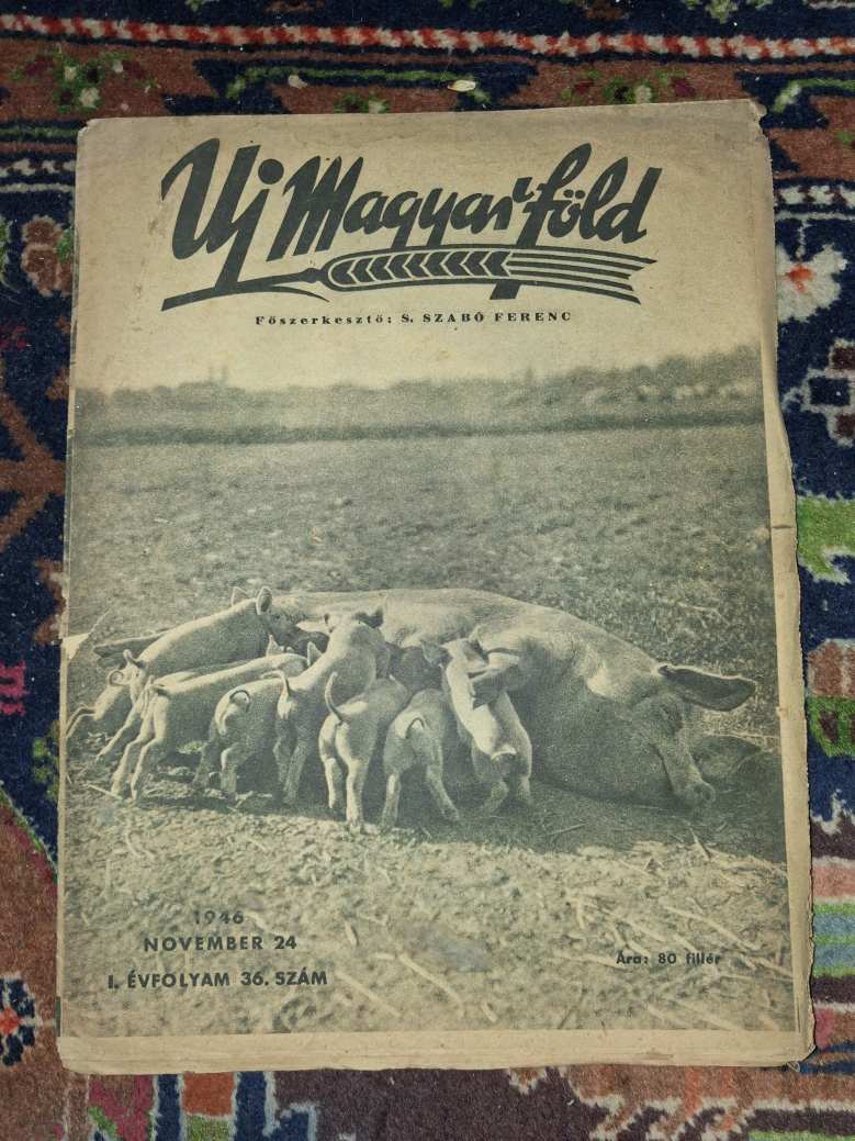 Új magyar föld újság 1946.