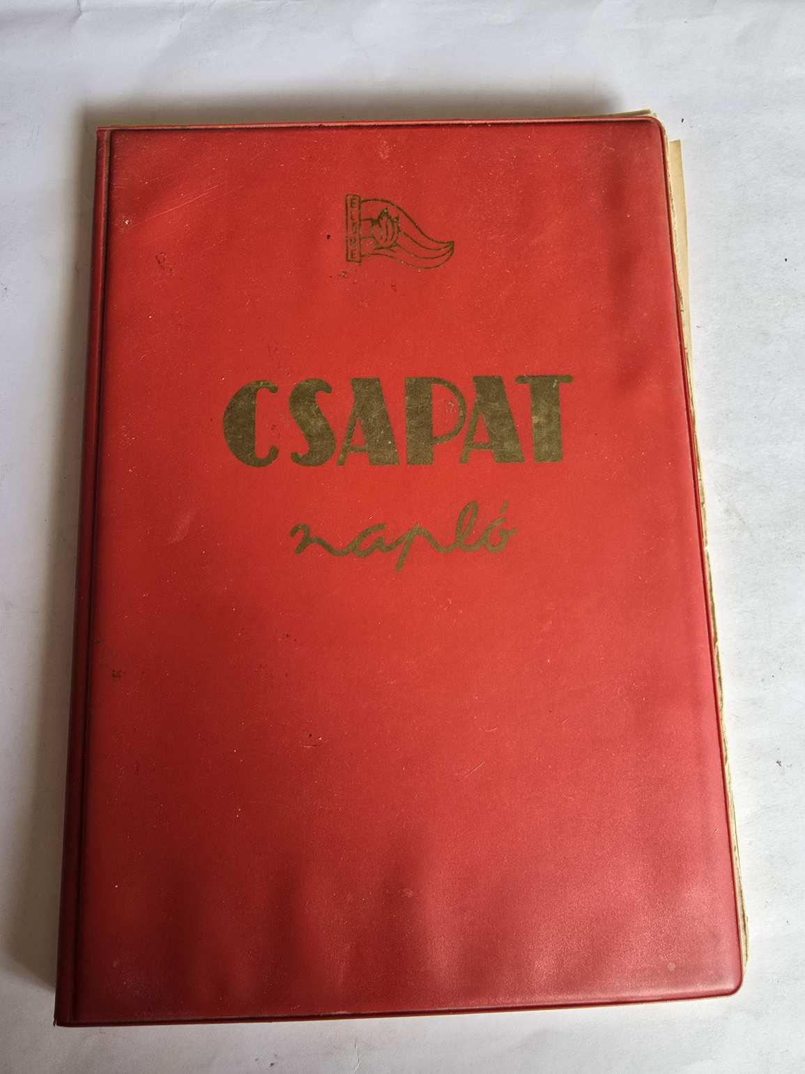 Úttörő Csapat napló