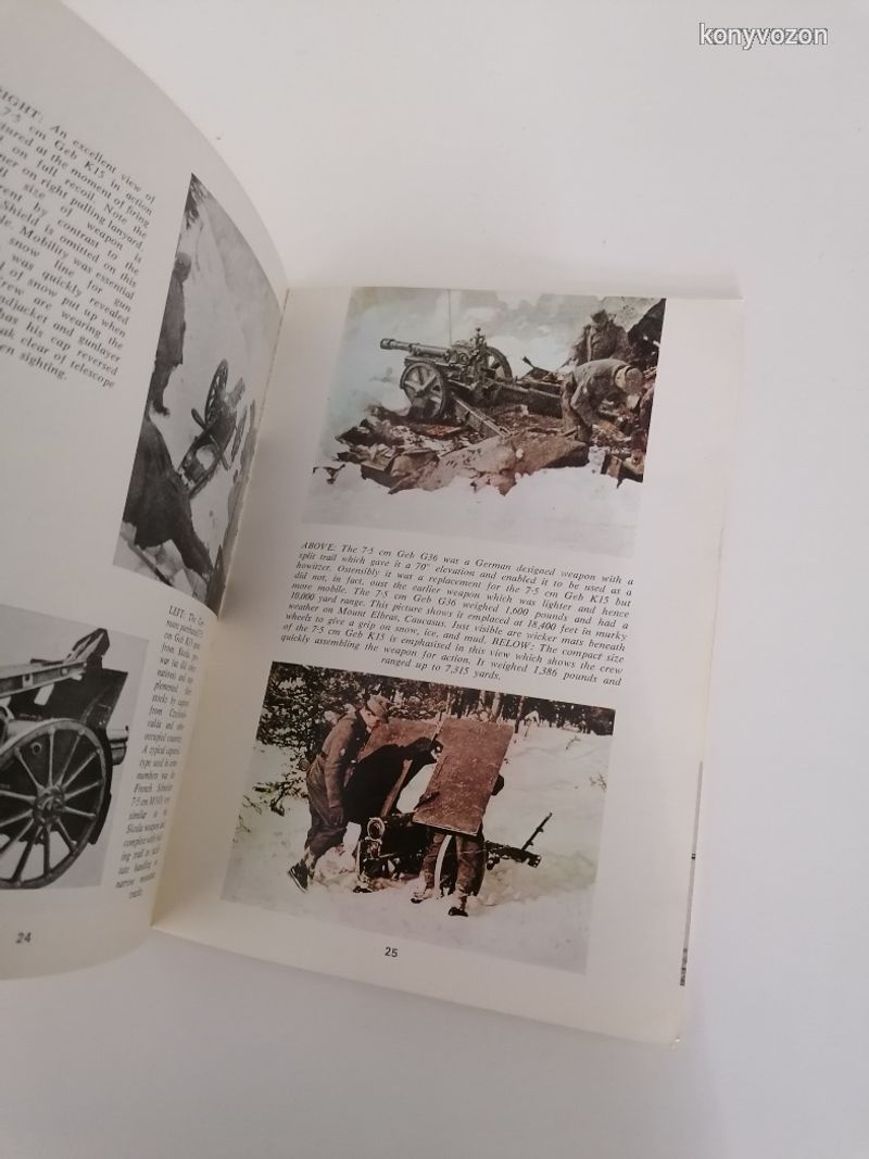 Chamberlain - Ellis:   German Mountain Troops