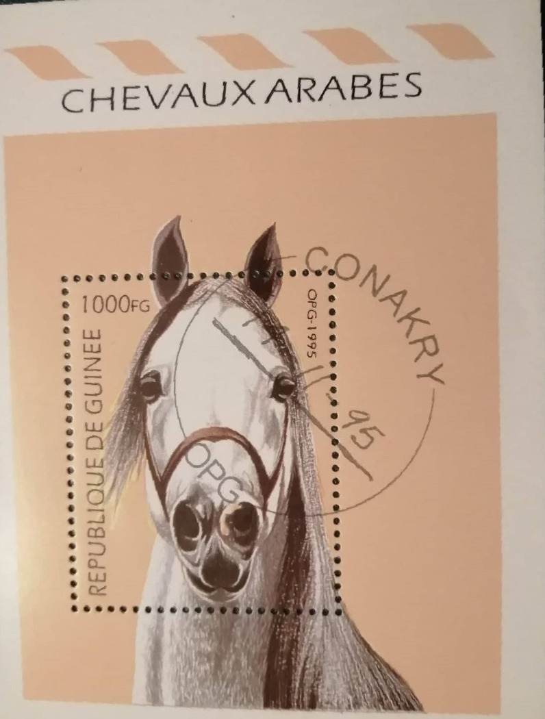 Guinea, 1995, lovak, blokk