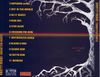 Knotty Headz: Forgotten Roots