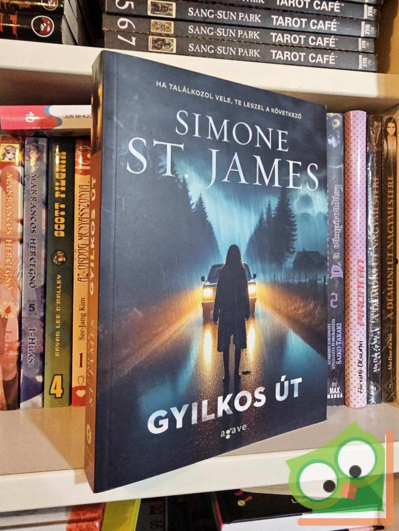 Simone St. James: Gyilkos út