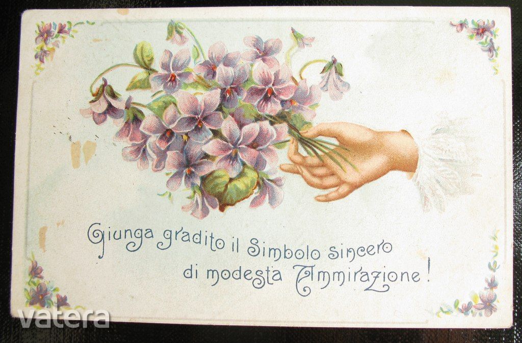 Tábori posta- Ibolyás üdvözlő lap