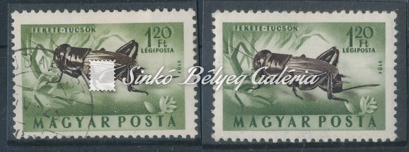 1954. Rovarok - L - tévnyomat