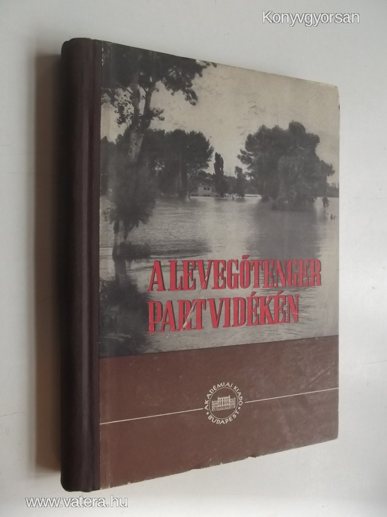 A levegőtenger partvidékén (*82)