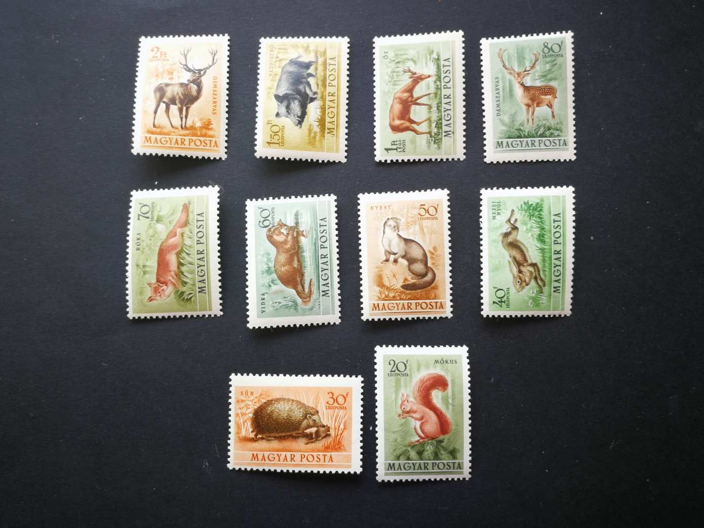 Magyarország 1953 Erdei állatok postatiszta kat. ár 6000 Ft H