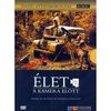 David Attenborough: Élet a kamera előtt (BBC)