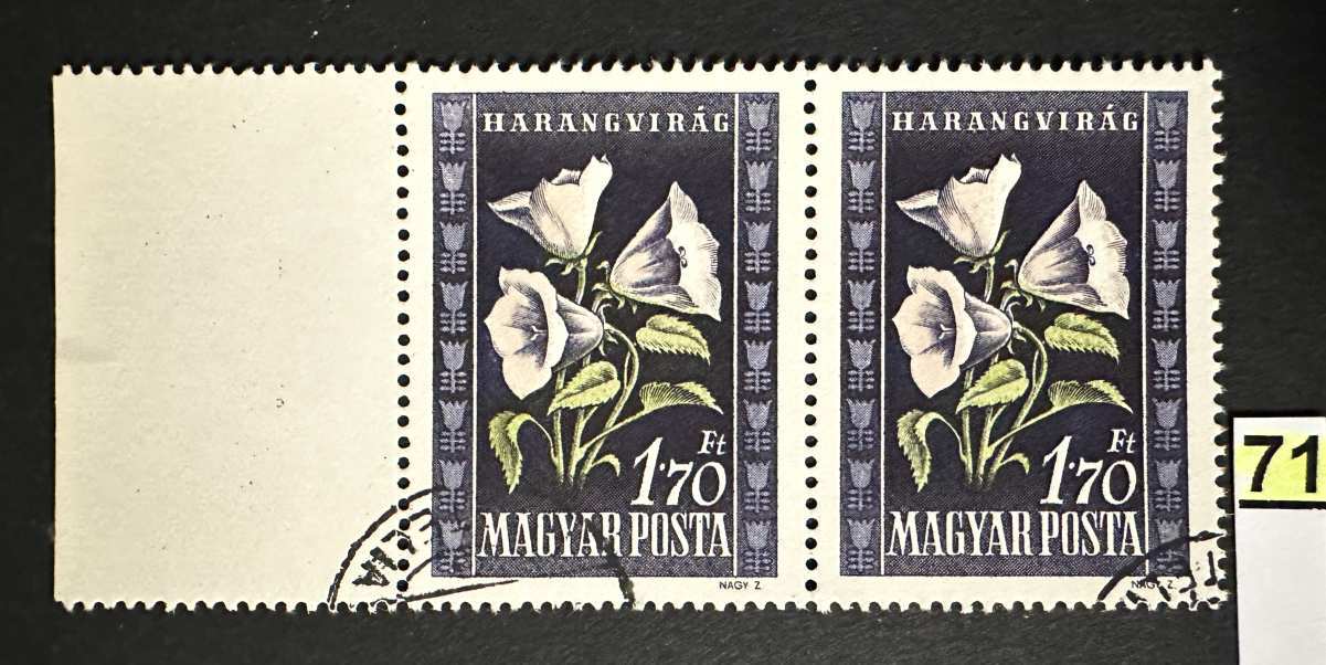 MAGYARORSZÁG 1950 VIRÁG I.  1.70FT BÉLYEG BAL ÍVSZÉLES           -71.-