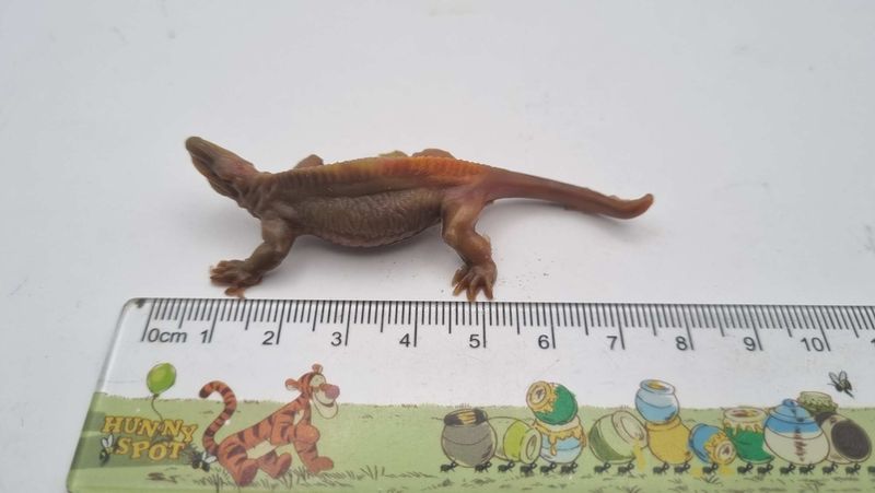 Spenacodon Linde