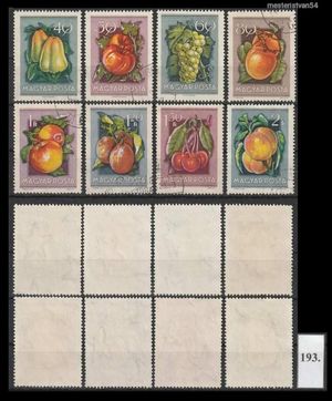 1954 Gyümölcsök I 193