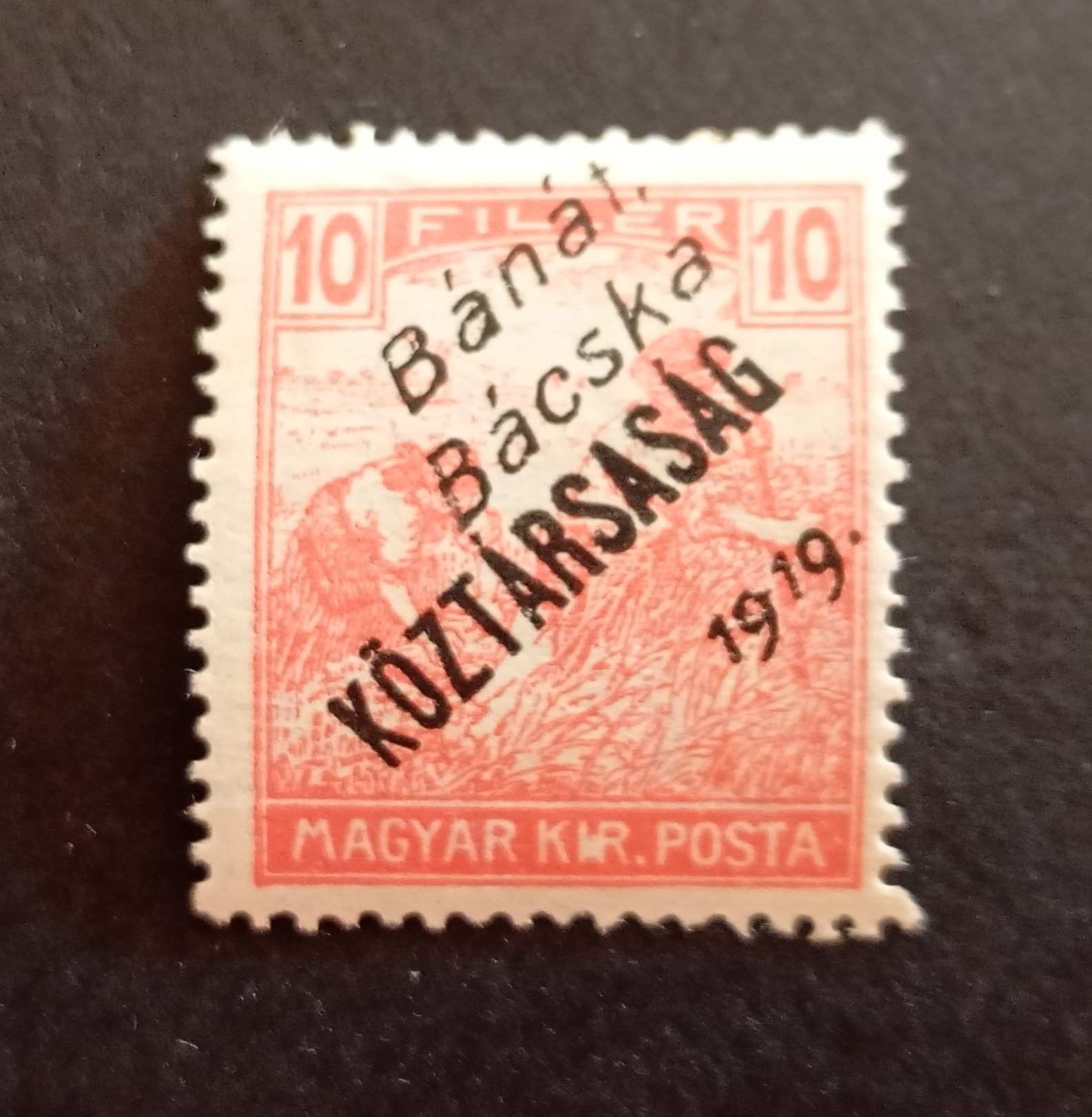 Magyarország 1919 Bánát-Bácska Arató/Köztársaság 10 F * falcos H