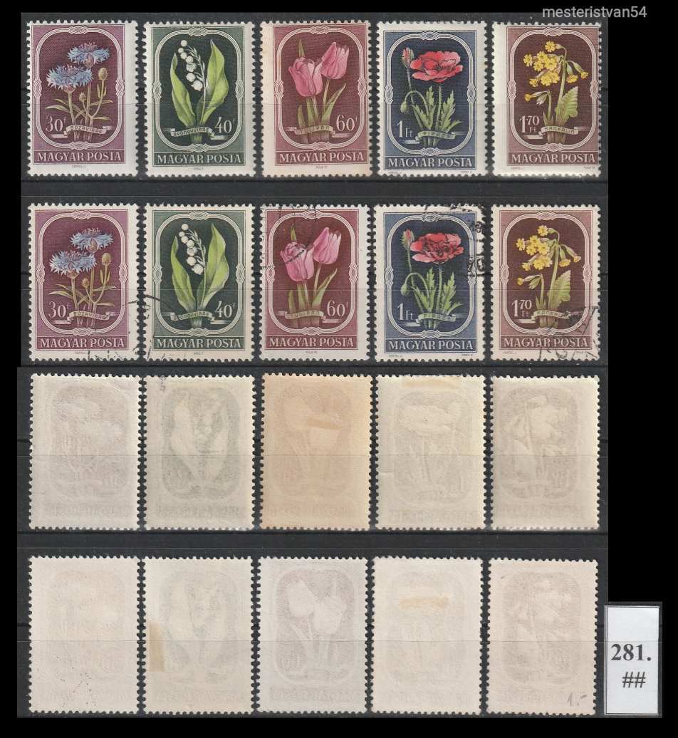 1951.Virág (II.)* ##-281