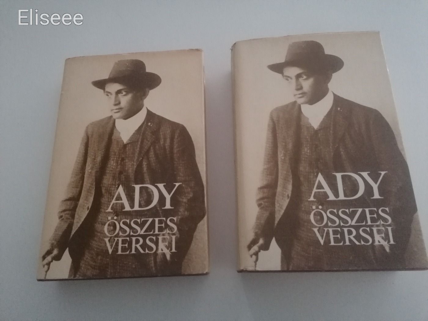 Ady összes versei I-II.