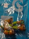 Ben 10 Ten figura