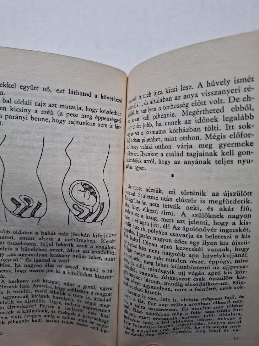 Gólya hozza....? című könyv eladó