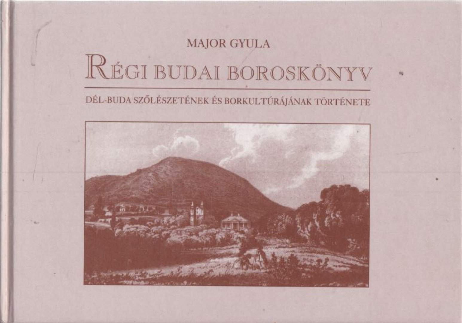 Régi budai boroskönyv
