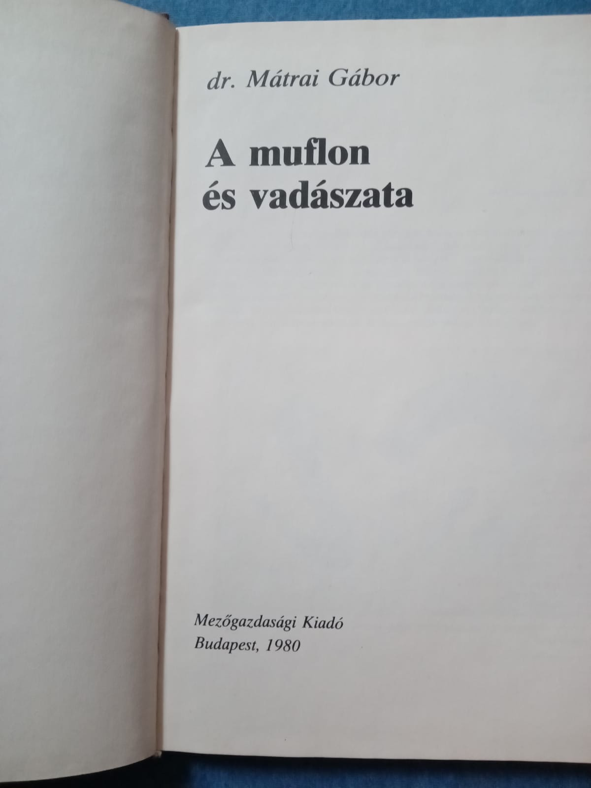 A muflon és vadászata