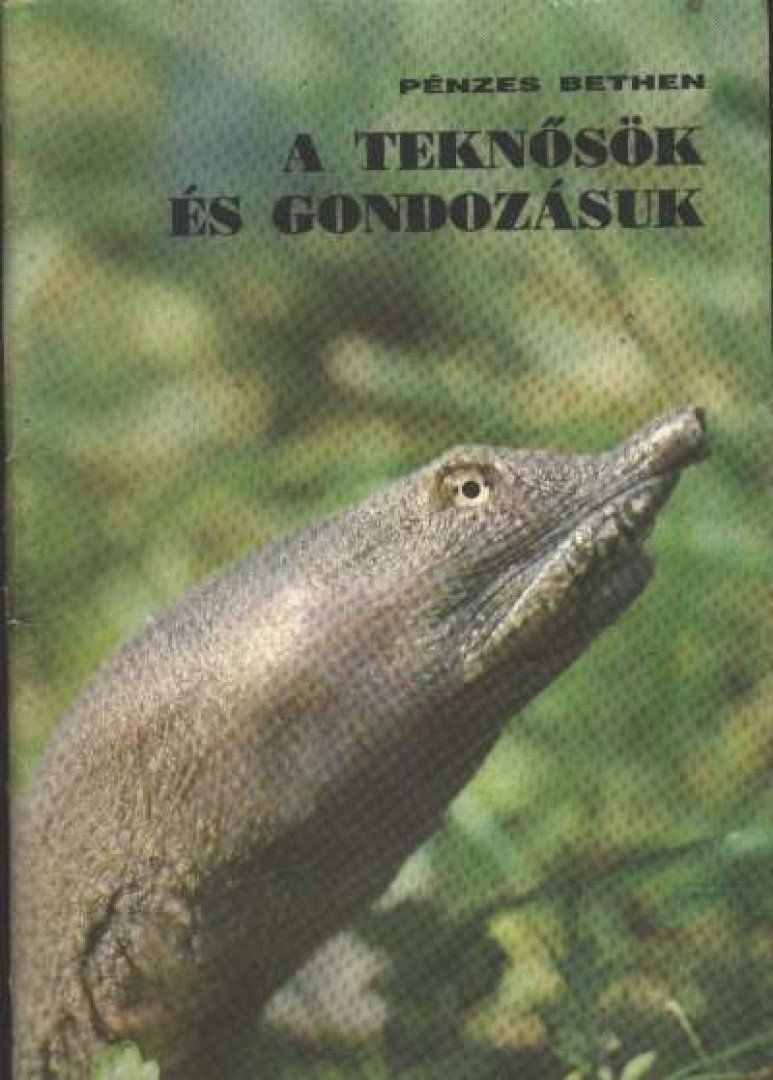 A teknősök és gondozásuk
