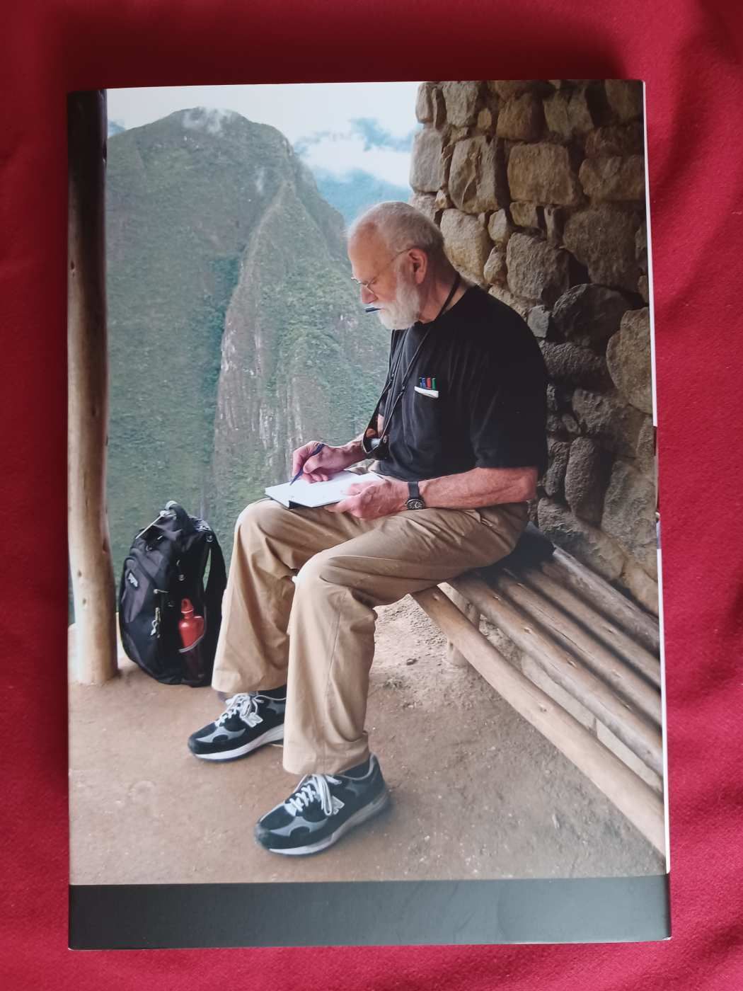 Oliver Sacks - Mozgásban