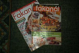 Fakanál újság, magazin 2 db