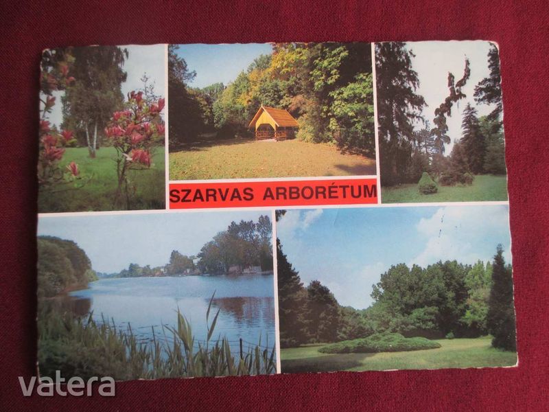 Szarvas, arborétum