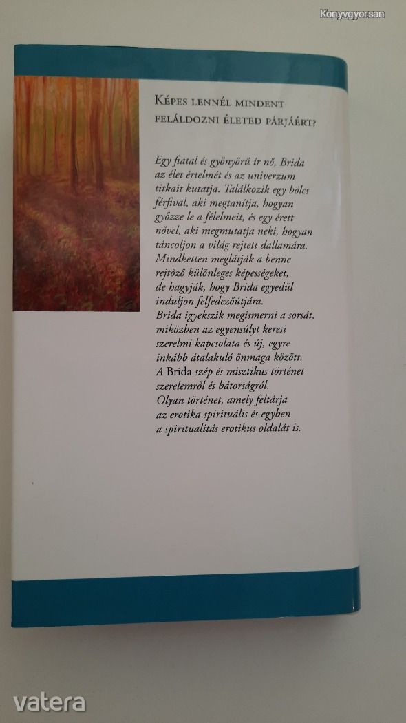 Paulo Coelho: Brida (*61)