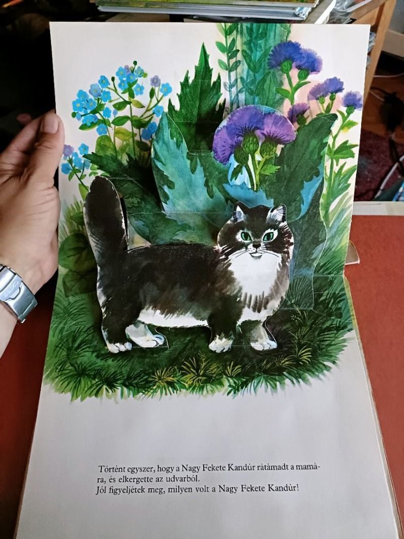 A kiscsibe története