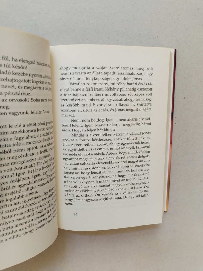 Thomas Glavinic: A vágyak élete (*58)