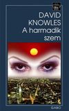 David Knowles: A harmadik szem (2004)