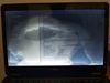 Dell Latitude E7450 notebook (99.)