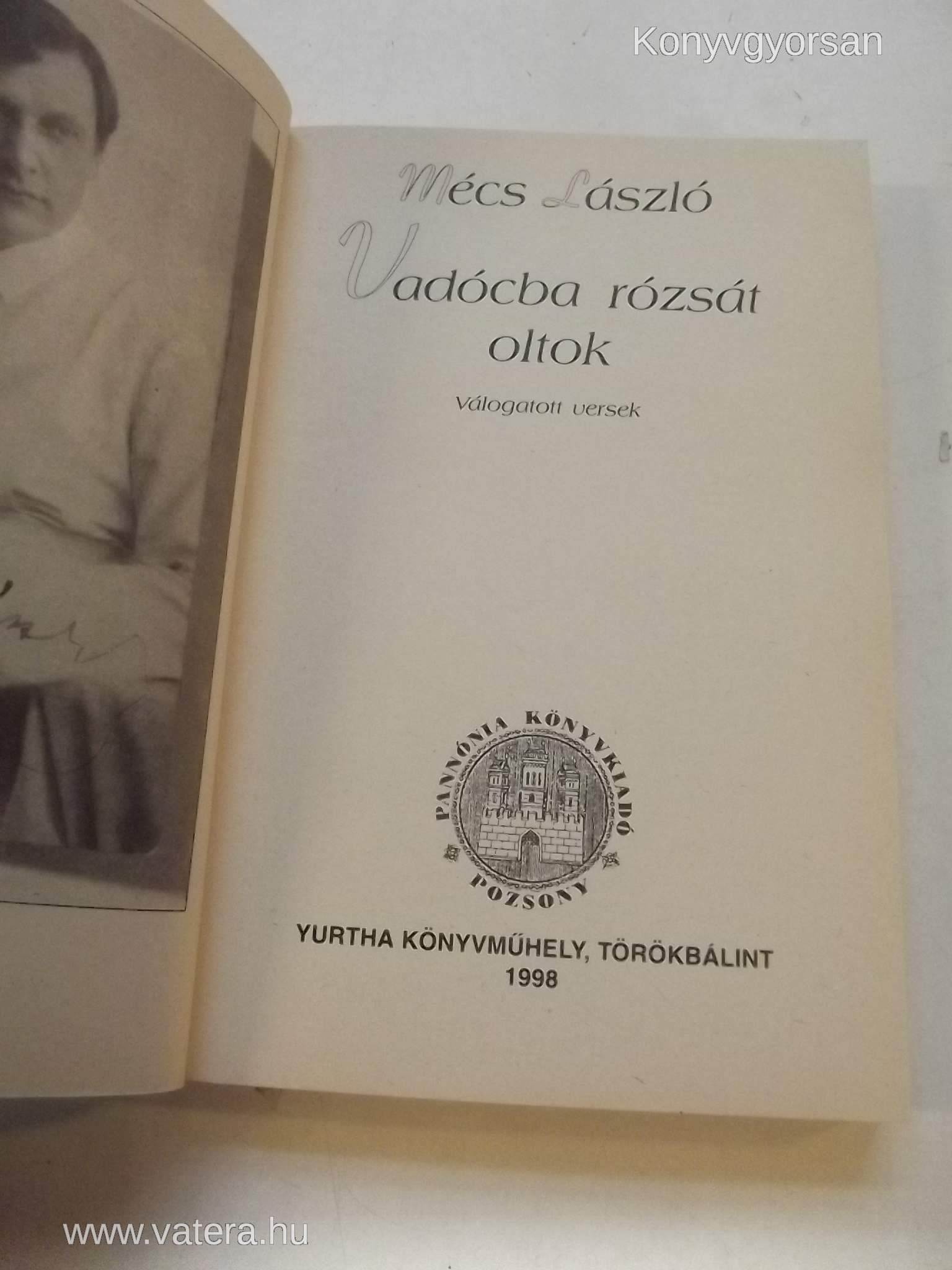 Mécs László: Vadócba rózsát oltok (*91)
