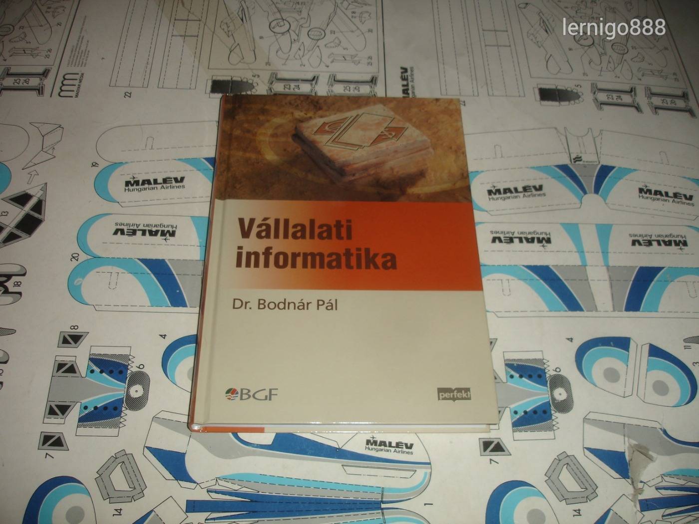 VÁLLALATI INFORMATIKA  ÚJ