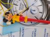 Mickey Mouse toll