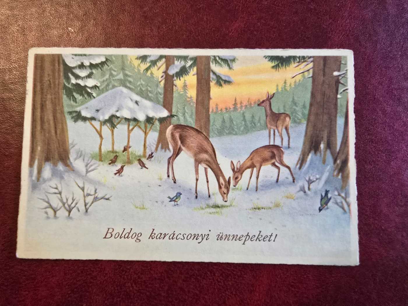Karácsonyi képeslap