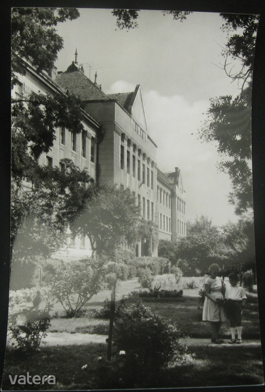 Mezőkövesd, gimnázium