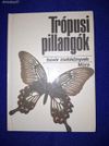 Trópusi pillangók